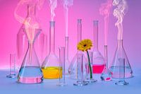 Laboratoriumglaswerk