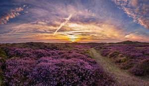 De Bollekamer - Heide - Texel van Texel360Fotografie Richard Heerschap