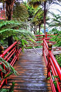 Oriental Gardens Madeira 8