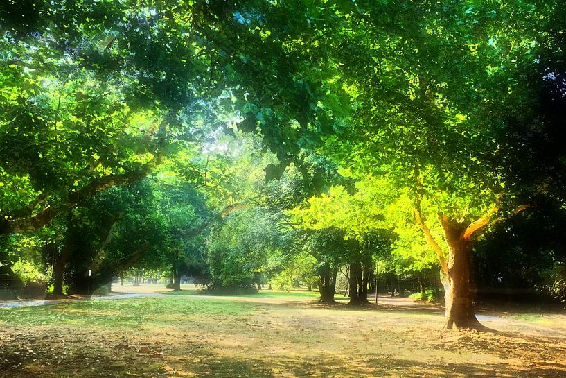 Traumlicht par Edgar Schermaul