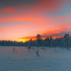 Sweden landscape by Andy Troy