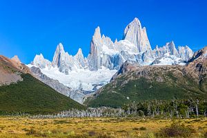 Fitz Roy Mountain, El Chalten, Patagonien, Argentinien von Dieter Meyrl