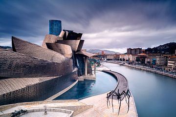 Guggenheim Museum by Arnaud Bertrande