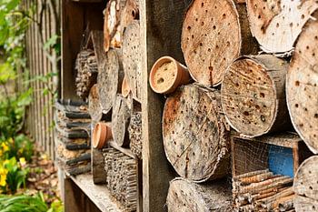 Hôtel à insectes dans le jardin du château