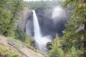 Helmcken Falls van René Boeff