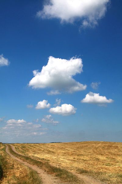 Stoppelveld in midzomer van Karina Gebert