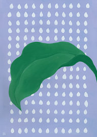Grünes Bananenblatt