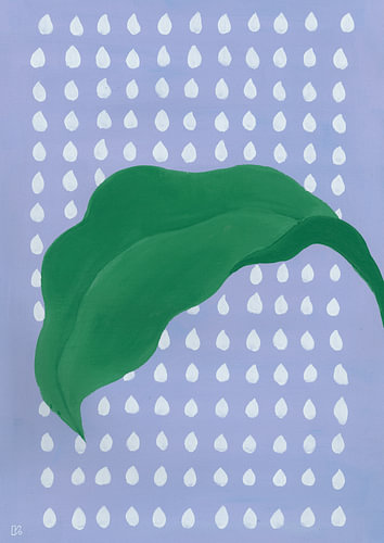 Green banana leaf