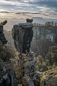 Wehlnadel Sächsische Schweiz