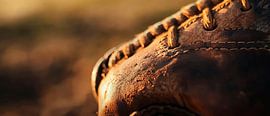 Gant de baseball en cuir sur Poster Art Shop