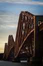 Steel bridge in evening light by Theo Felten thumbnail