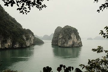 Ha Long Bay Vietnam von Sander van Kal