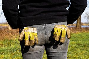 Handschoentjes uit de mouwen von Floris van Woudenberg