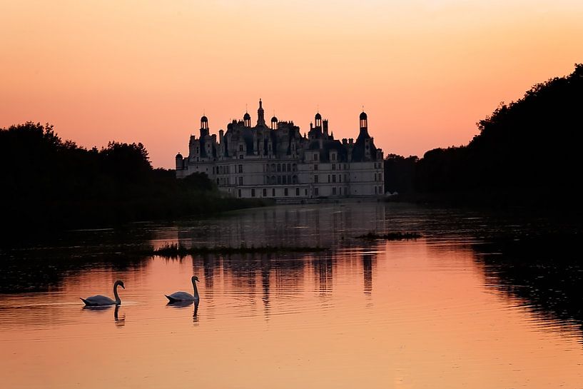 swans at sunset by Esther Maria