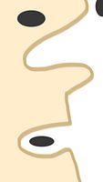 OVALS AND LINE