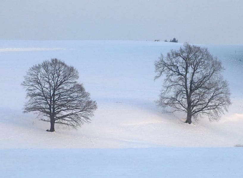 Winter 01 von Ilona Picha-Höberth