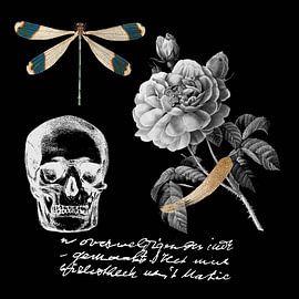 Cottagecore folklore by FRESH Fine Art