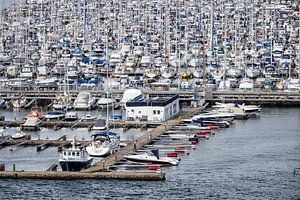 Marina in Oslo