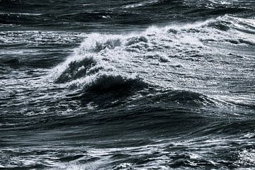 Die perfekte Welle von Stephan Zaun