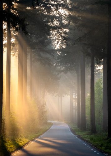 Rayons de soleil