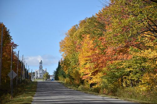 De dorpsweg in de herfst