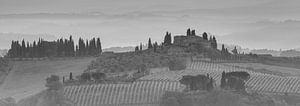 Monochrome Toskana im Format 6x17, Landschaft bei San Gimignano II