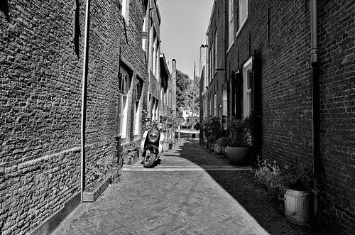 Dordrecht -Turfsteiger