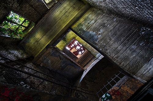 Recht omhoog von Izo van Thiel