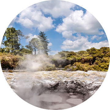 Wai-o-Tapu Geothermal Area bij Rotorua, Nieuw Zeeland van Christian Müringer