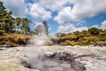 Wai-o-Tapu Geothermal Area near Rotorua, New Zealand by Christian Müringer