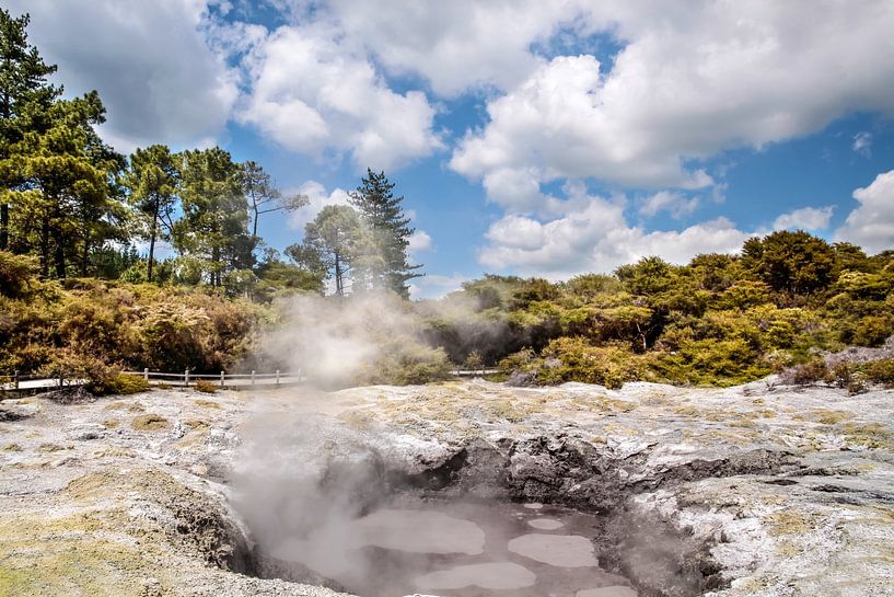 Wai-o-Tapu Geothermal Area bij Rotorua, Nieuw Zeeland van Christian Müringer