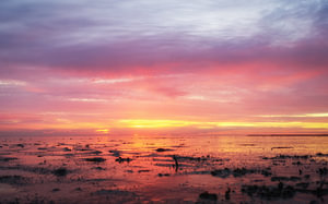 as the sun sets over the mudflats