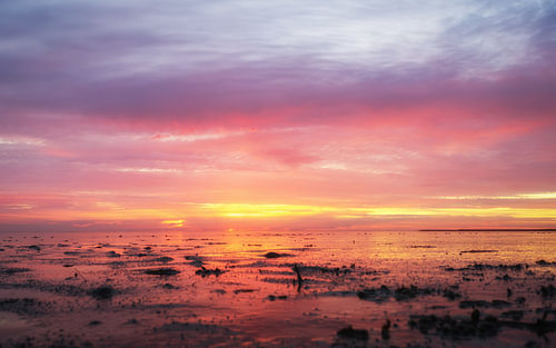 as the sun sets over the mudflats