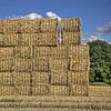 A wall of straw by Frans Blok