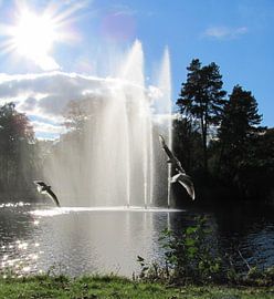 Wilhelminapark Utrecht von Marlys Natzijl