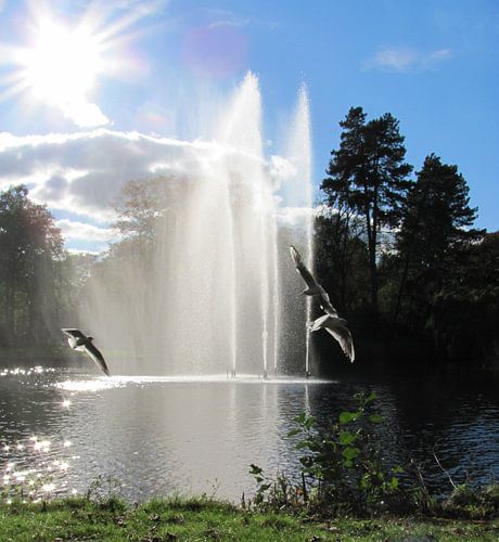 Wilhelminapark Utrecht