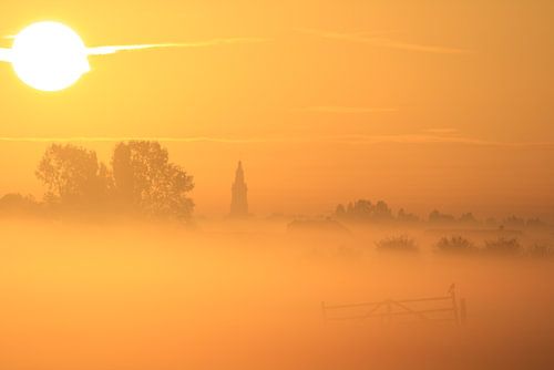 Sonnenaufgangslandschaft mit Nebel über den Wiesen bei Nijkerk