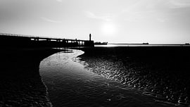 Flüstern des Horizonts von Jessie Logtens