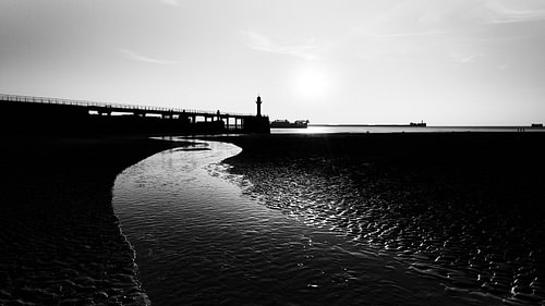 Whispers of the Horizon