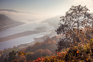 Herbstmorgen im Mittelrheintal oberhalb von Bacherach