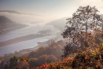 Herbstmorgen im Mittelrheintal oberhalb von Bacherach von Christian Müringer