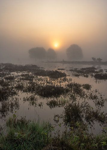 Leersumse veld part 45