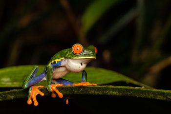Großer Junge in einer kleinen Welt
