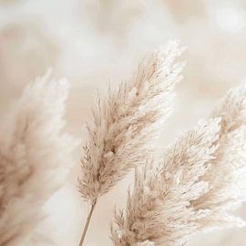 Pampas grass by Poster Art Shop