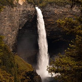 Helmcken Falls: Natuurspektakel in Wells Gray Provincial Park van Anneloes van Acht