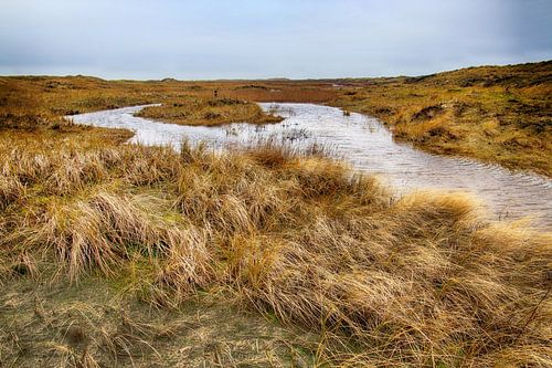 De Hors Texel