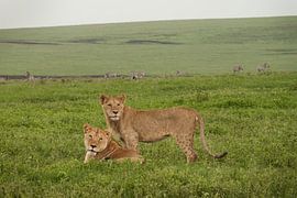 Moeder en Zoon von Stephan Spelde