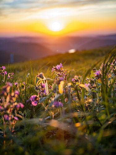 Zonsondergang vanaf de Hohneck in de Vogezen, Frankrijk