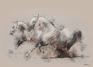twee witte paarden rennen door het zand van Gelissen Artworks