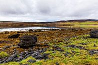 Eb bij Loch Greshornish, Isle-of-Skye Schotland van Remco Bosshard thumbnail